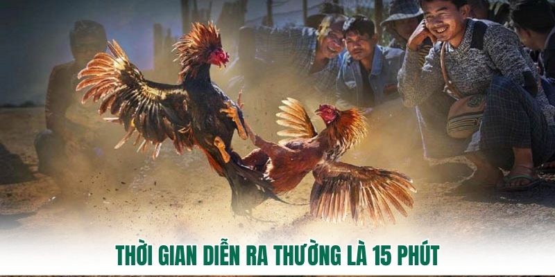 Thời gian diễn ra thường là 15 phút