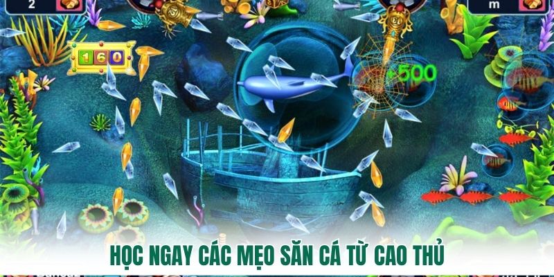 Học ngay các mẹo săn cá từ cao thủ