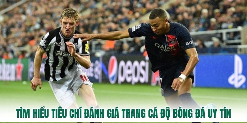 Tìm hiểu tiêu chí đánh giá trang cá độ bóng đá uy tín