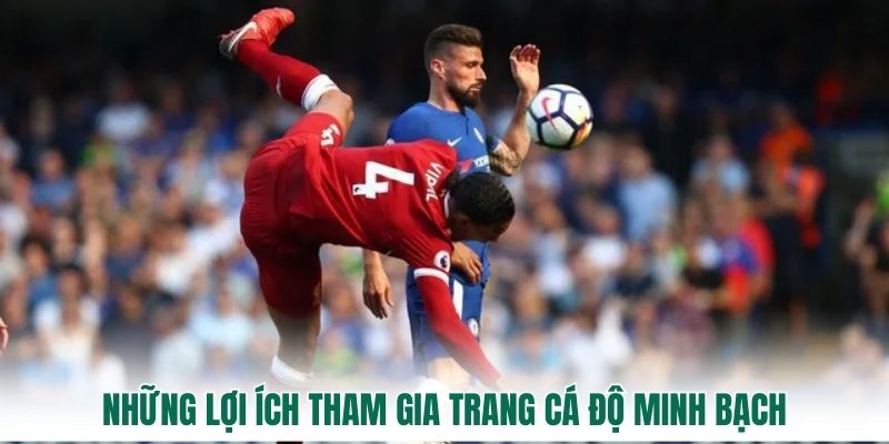 Những lợi ích tham gia trang cá độ minh bạch