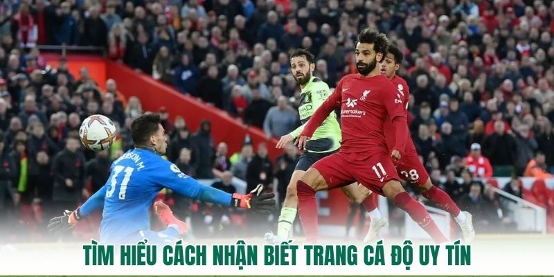 Tìm hiểu cách nhận biết trang cá độ uy tín