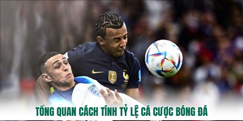 Tổng quan cách tính tỷ lệ cá cược bóng đá