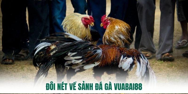 Đôi nét về sảnh Đá Gà vuabai88