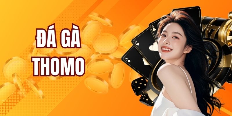 Đá Gà Thomo - Kiếm Tiền Triệu Từ Các Trận Đấu Siêu Kịch Tính