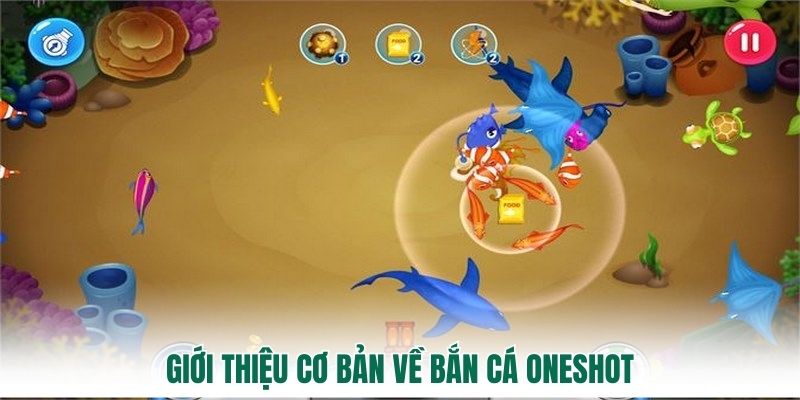 Đôi chút thông tin về bắn cá Oneshot