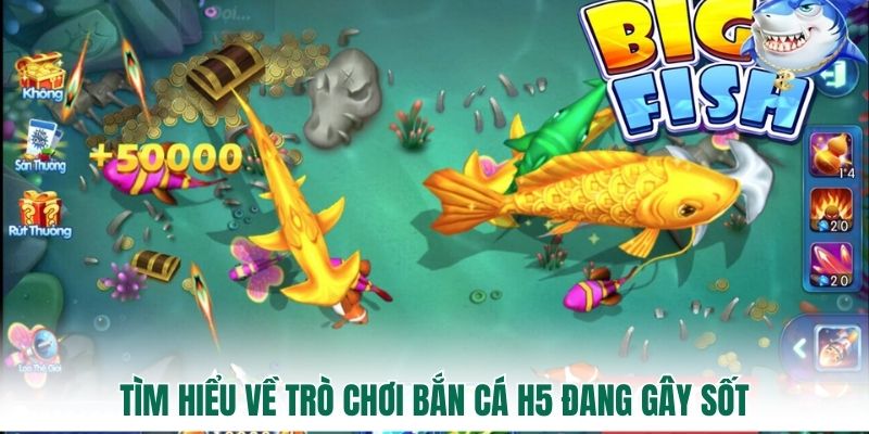 Tìm hiểu về trò chơi bắn cá H5 đang gây sốt