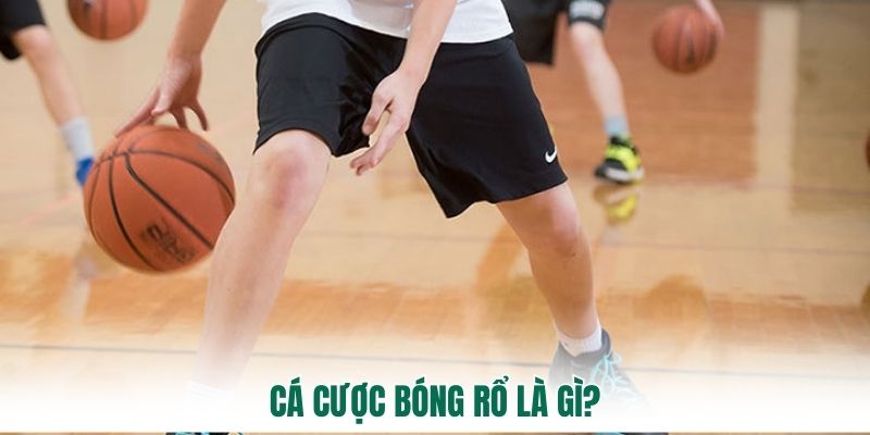 Cá cược bóng rổ là gì?