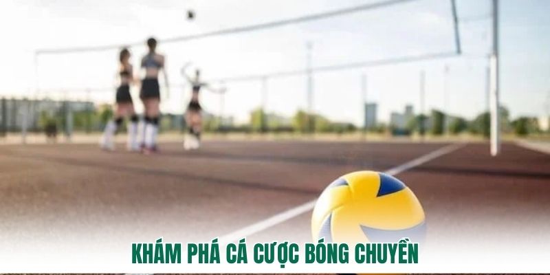 Khám phá cá cược bóng chuyền