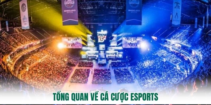 Tổng quan về cá cược Esports