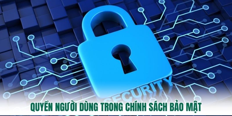 Quyền người dùng trong chính sách bảo mật