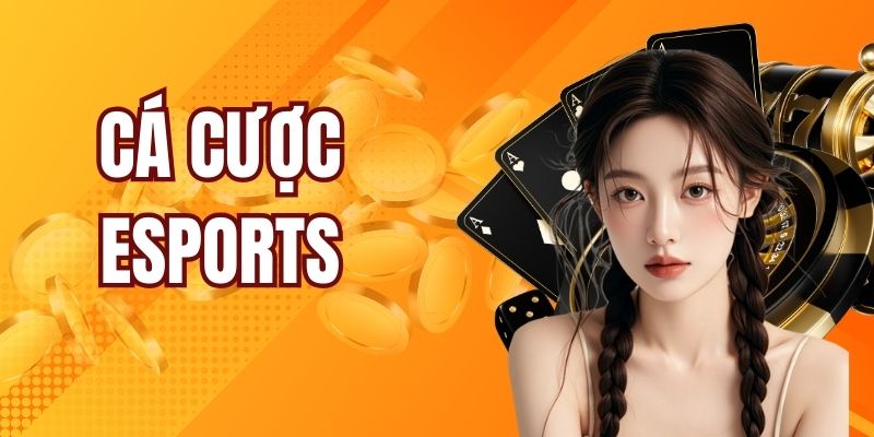 Cá Cược Esports - Trải Nghiệm Các Game Thể Thao Điện Tử Hot