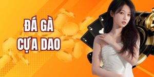 Đá Gà Cựa Dao - Bộ Môn Giải Trí Hút Khách Tại Vuabai88