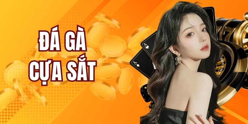 Đá Gà Cựa Sắt - Điểm Đến Có Một Không Hai Tại Vuabai88