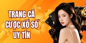 Trang Cá Cược Xổ Số Uy Tín Vuabai88 - Điểm Đến Lý Tưởng