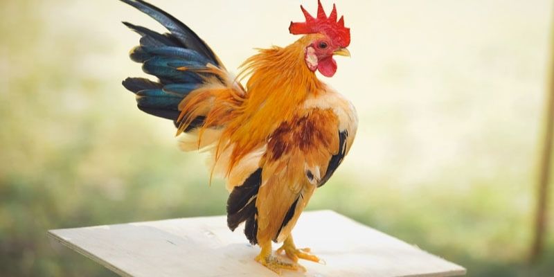 Cần thiết lập không gian hợp vệ sinh, đầy đủ ánh sáng 