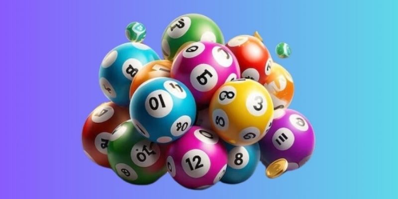 Phối hợp linh hoạt bạch thủ lô kép nuôi khung 3 ngày