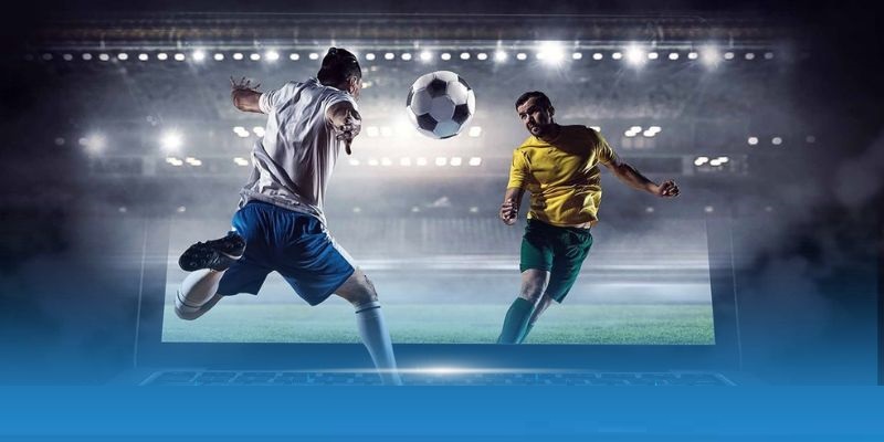 Cách Cá Độ Bóng Đá Thắng Lớn Dành Cho Mọi Người Chơi