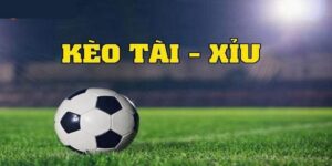 Cách Chơi Tài Xỉu Bóng Đá Cực Chuẩn Để Nhận Thưởng Khủng