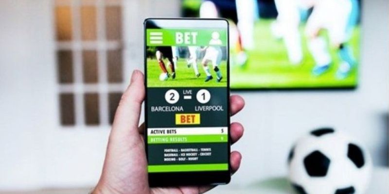 Hướng dẫn cách bắt tài xỉu bóng đá từ cơ bản nhất