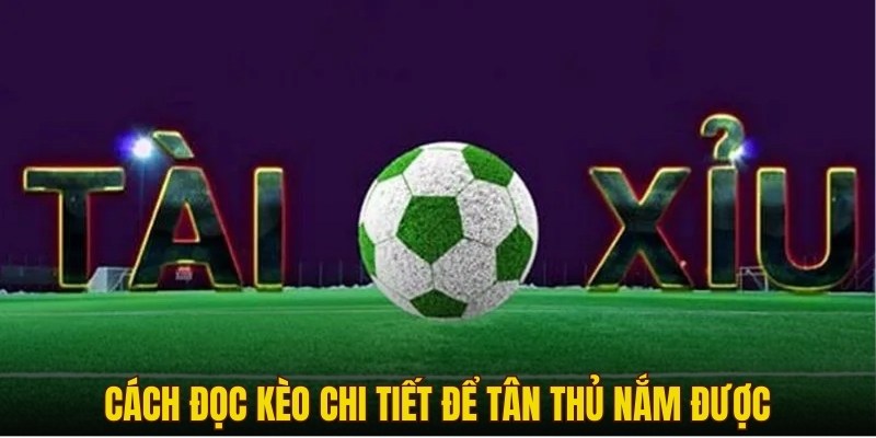 Cách đọc kèo chi tiết để tân thủ nắm được