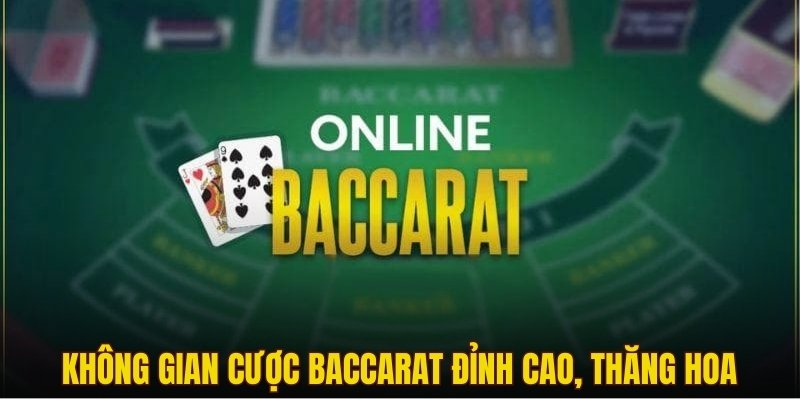 Không gian cược Baccarat đỉnh cao, thăng hoa