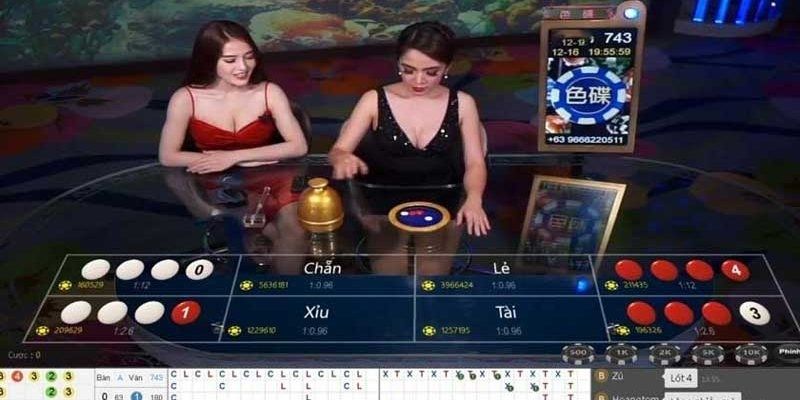 Xóc đĩa là gì và cách đặt cược hiệu quả