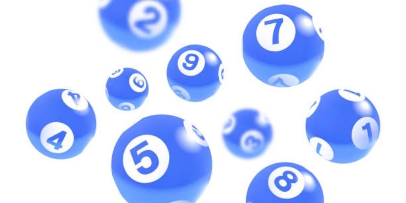 Gợi ý bộ số siêu đẹp khi gặp rắn nhỏ cho người chơi