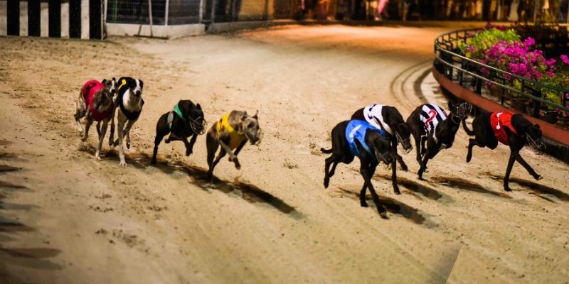 Các khía cạnh quan trọng khi xem xét phong độ