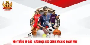 Kèo Thắng Áp Đảo - Cách Đọc Kèo Chính Xác Cho Người Mới