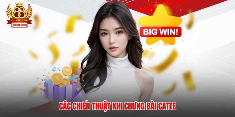 Các chiến thuật khi chưng bài catte