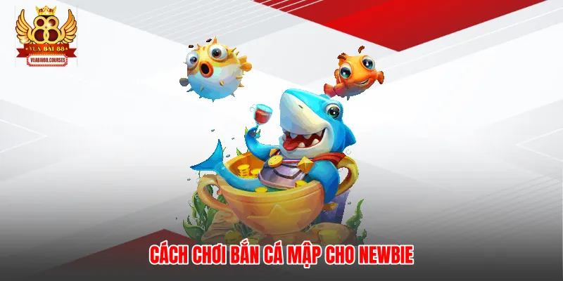 Cách chơi bắn cá mập cho newbie