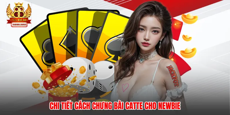 Chi tiết cách chưng bài catte cho newbie