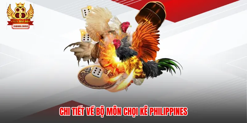 Chi tiết về bộ môn chọi kê Philippines