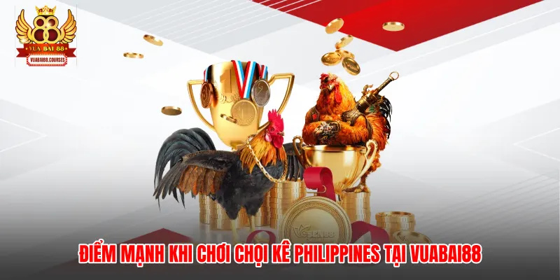 Điểm mạnh khi chơi chọi kê Philippines tại Vuabai88
