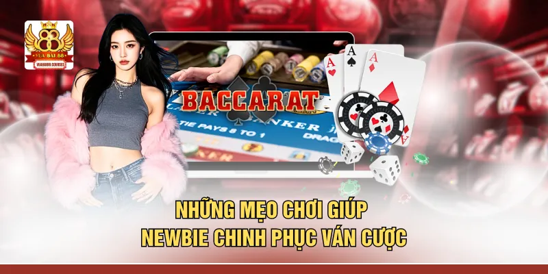 Những mẹo chơi giúp newbie chinh phục ván cược