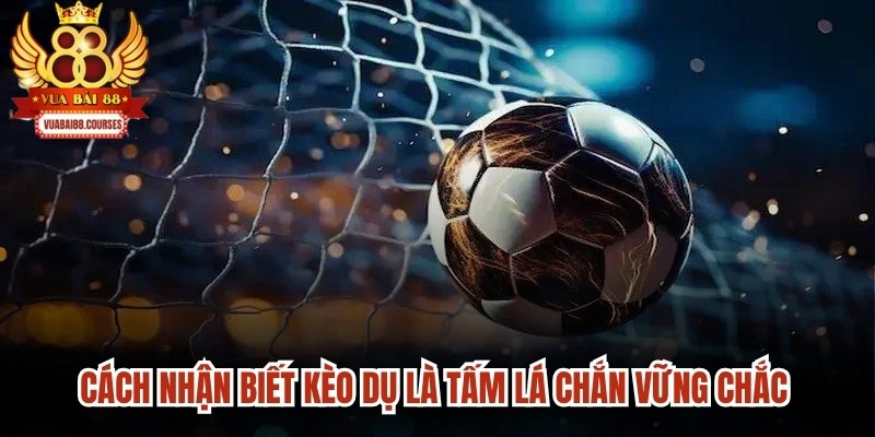 Cách nhận biết kèo dụ là tấm lá chắn vững chắc giúp bảo vệ thành quả của bạn
