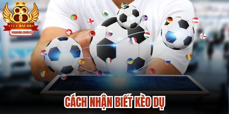 Cách Nhận Biết Kèo Dụ