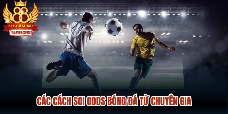 Các cách soi Odds bóng đá từ chuyên gia