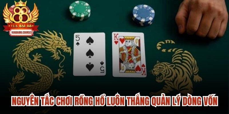 Nguyên tắc chơi rồng hổ luôn thắng quản lý dòng vốn