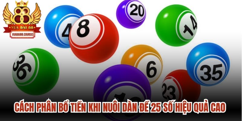 Cách phân bổ tiền khi nuôi dàn đề 25 số hiệu quả cao cho anh em