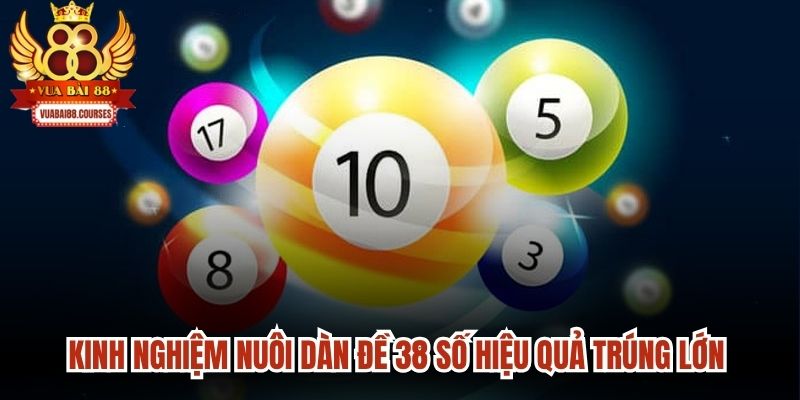 Kinh nghiệm nuôi dàn đề 38 số hiệu quả trúng lớn không nên bỏ lỡ